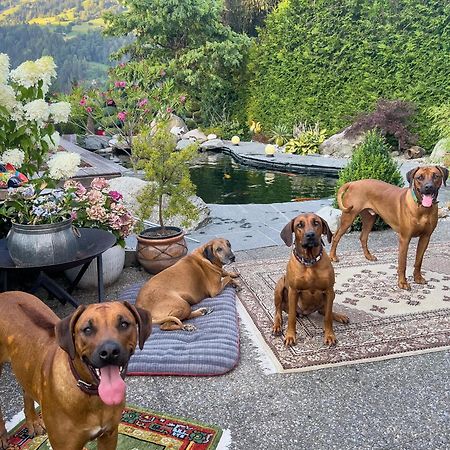 Ferienwohnung Waltensburg Breil/Brigels Luaran gambar