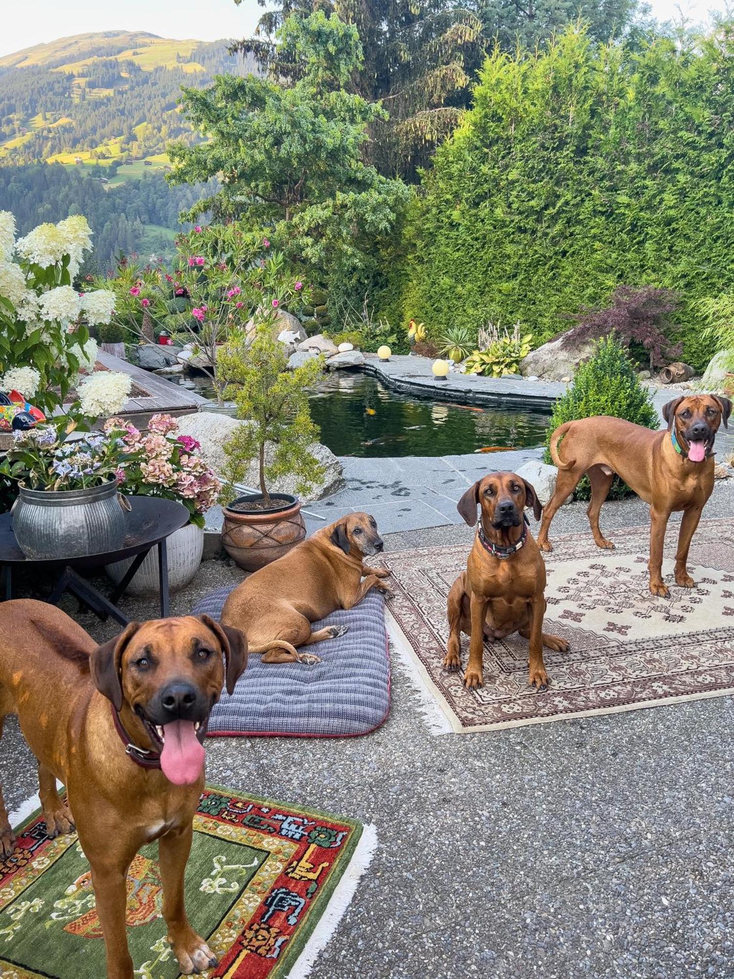 Ferienwohnung Waltensburg Breil/Brigels Luaran gambar